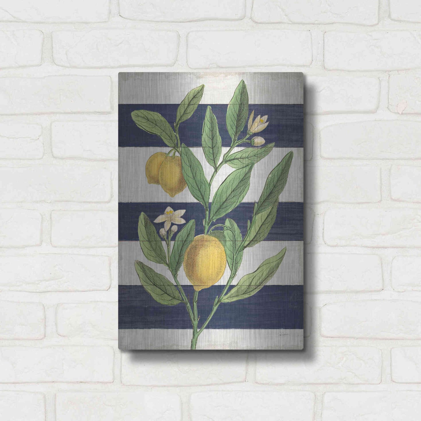 Luxe Metal Art 'Classic Citrus V Navy Shiplap NW' by Sue Schlabach, Metal Wall Art,12x16