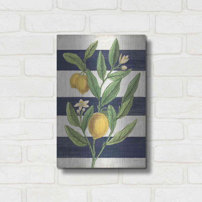 Luxe Metal Art 'Classic Citrus V Navy Shiplap NW' by Sue Schlabach, Metal Wall Art,12x16