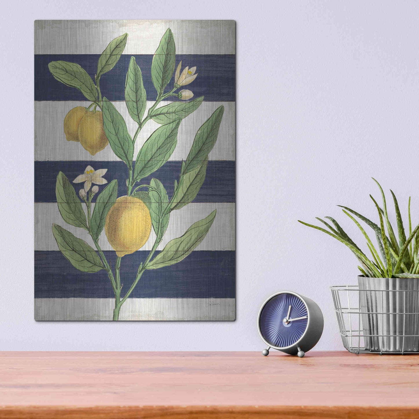 Luxe Metal Art 'Classic Citrus V Navy Shiplap NW' by Sue Schlabach, Metal Wall Art,12x16