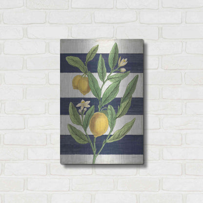 Luxe Metal Art 'Classic Citrus V Navy Shiplap NW' by Sue Schlabach, Metal Wall Art,16x24