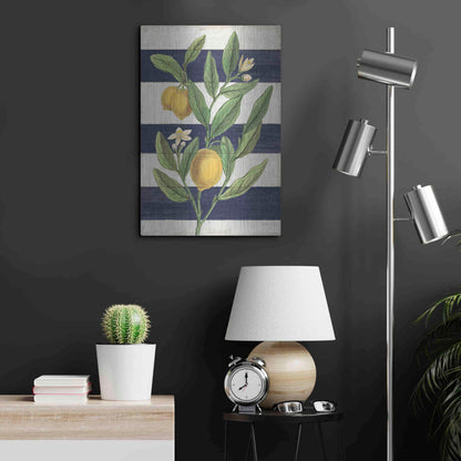 Luxe Metal Art 'Classic Citrus V Navy Shiplap NW' by Sue Schlabach, Metal Wall Art,16x24