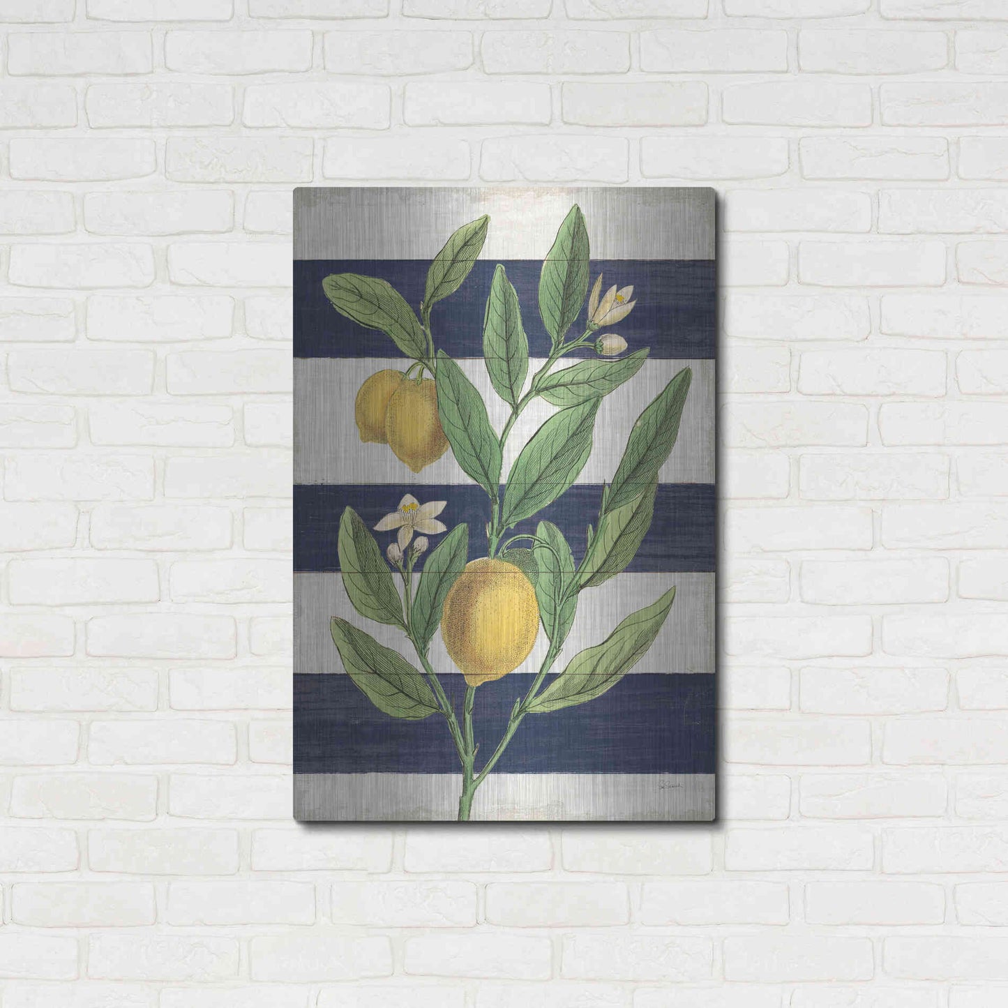 Luxe Metal Art 'Classic Citrus V Navy Shiplap NW' by Sue Schlabach, Metal Wall Art,24x36