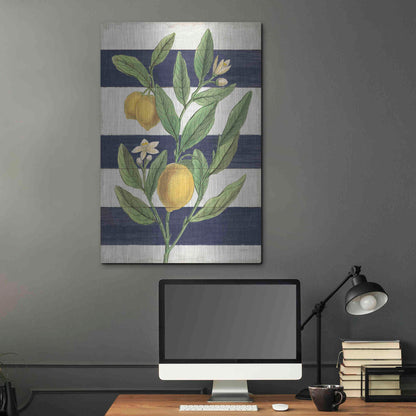 Luxe Metal Art 'Classic Citrus V Navy Shiplap NW' by Sue Schlabach, Metal Wall Art,24x36