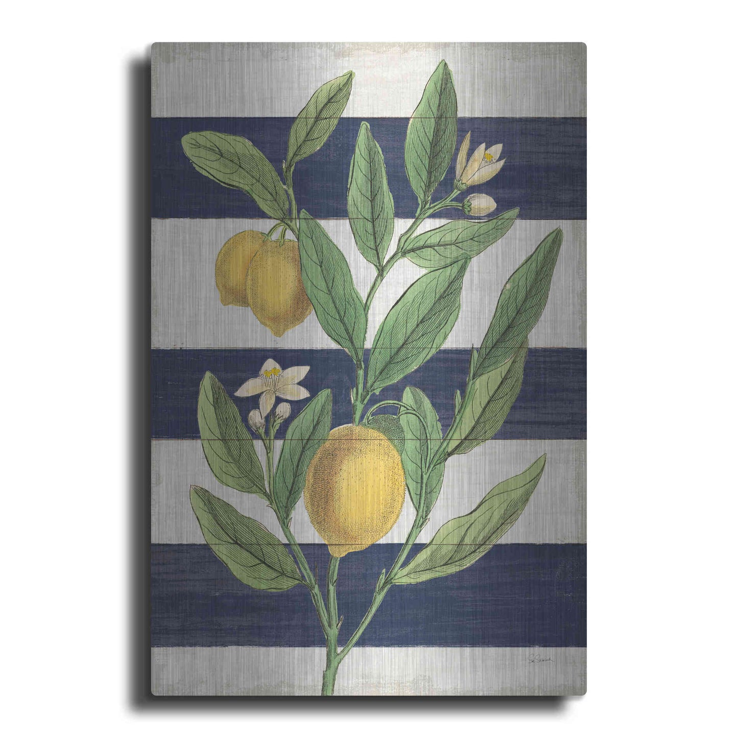 Luxe Metal Art 'Classic Citrus V Navy Shiplap NW' by Sue Schlabach, Metal Wall Art