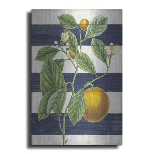 Luxe Metal Art 'Classic Citrus VI Navy Shiplap NW' by Sue Schlabach, Metal Wall Art