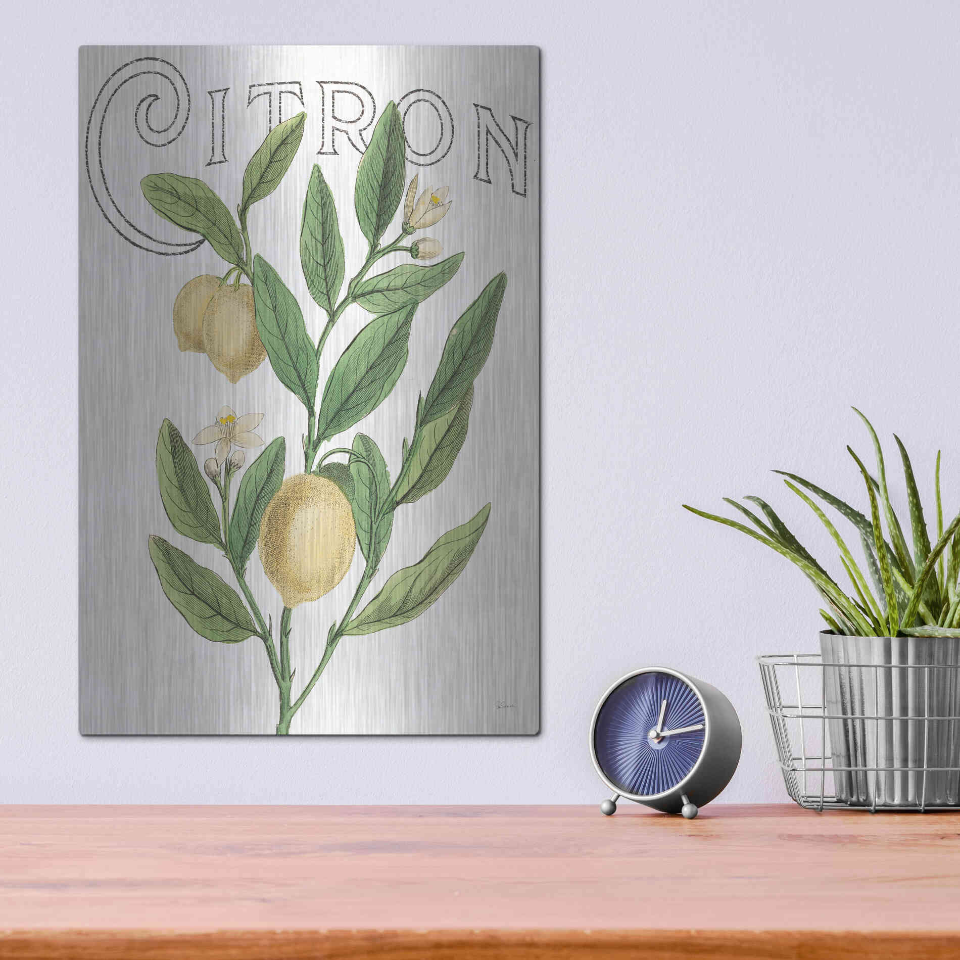 Luxe Metal Art 'Classic Citrus V Light' by Sue Schlabach, Metal Wall Art,12x16