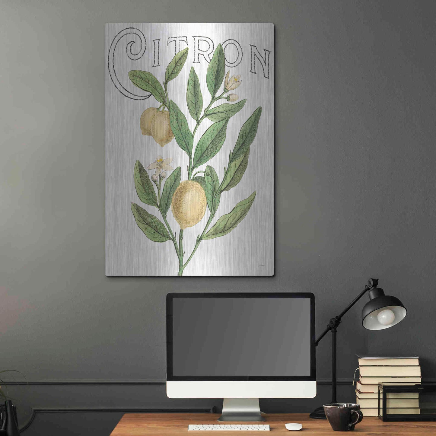 Luxe Metal Art 'Classic Citrus V Light' by Sue Schlabach, Metal Wall Art,24x36