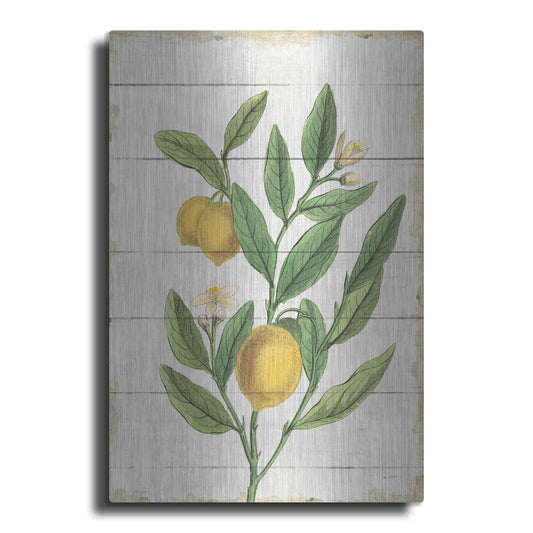 Luxe Metal Art 'Classic Citrus V Shiplap No Words' by Sue Schlabach, Metal Wall Art