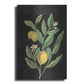 Luxe Metal Art 'Classic Citrus V Black No Words' by Sue Schlabach, Metal Wall Art