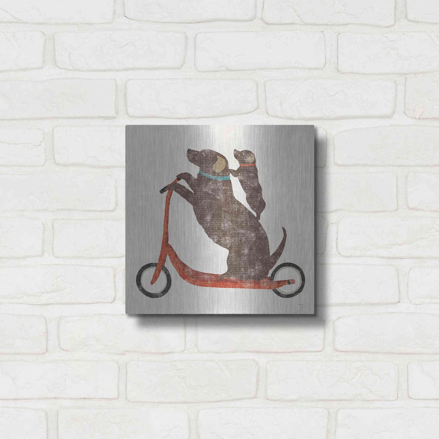 Luxe Metal Art 'Lab Scooter Ride' by Sue Schlabach, Metal Wall Art,12x12