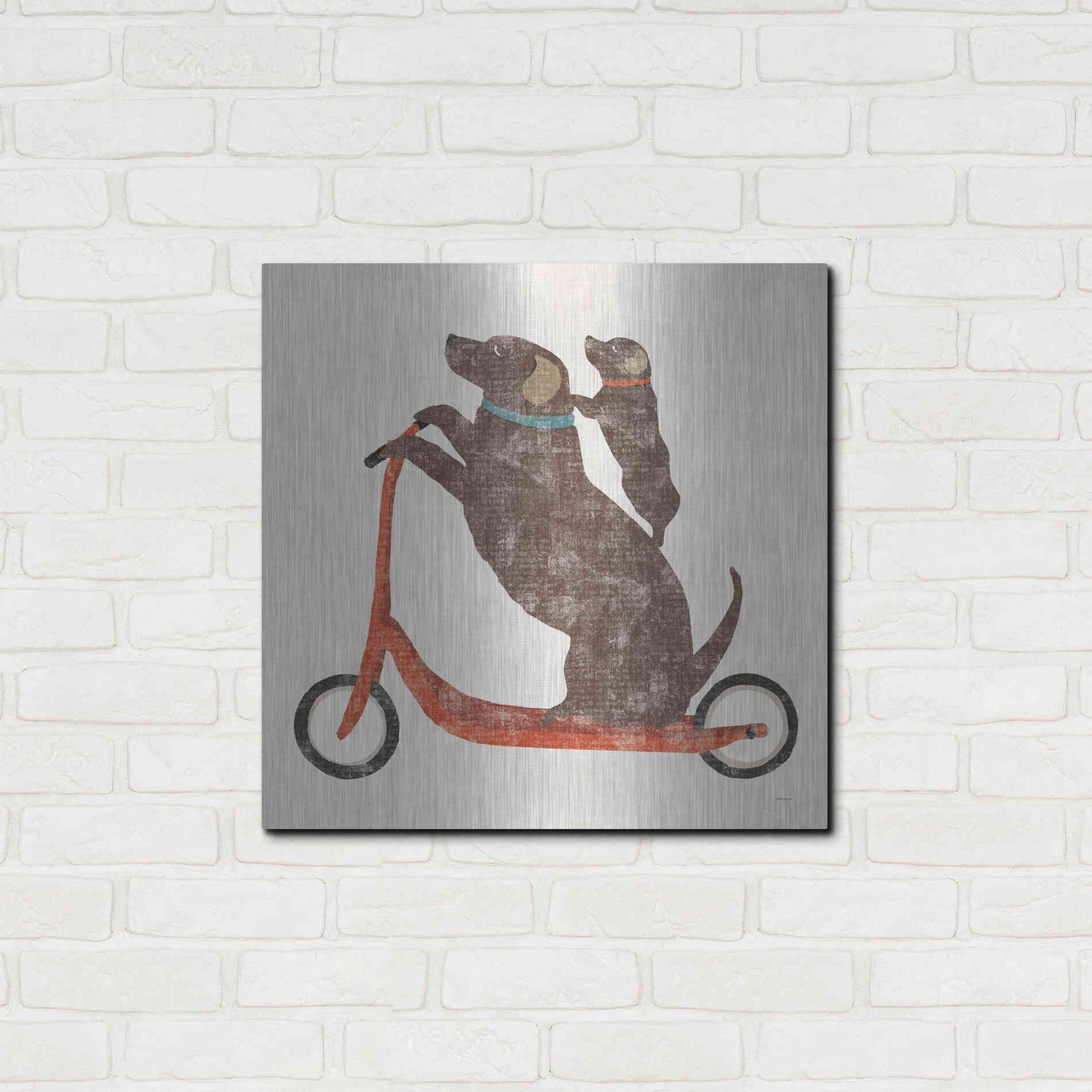 Luxe Metal Art 'Lab Scooter Ride' by Sue Schlabach, Metal Wall Art,24x24