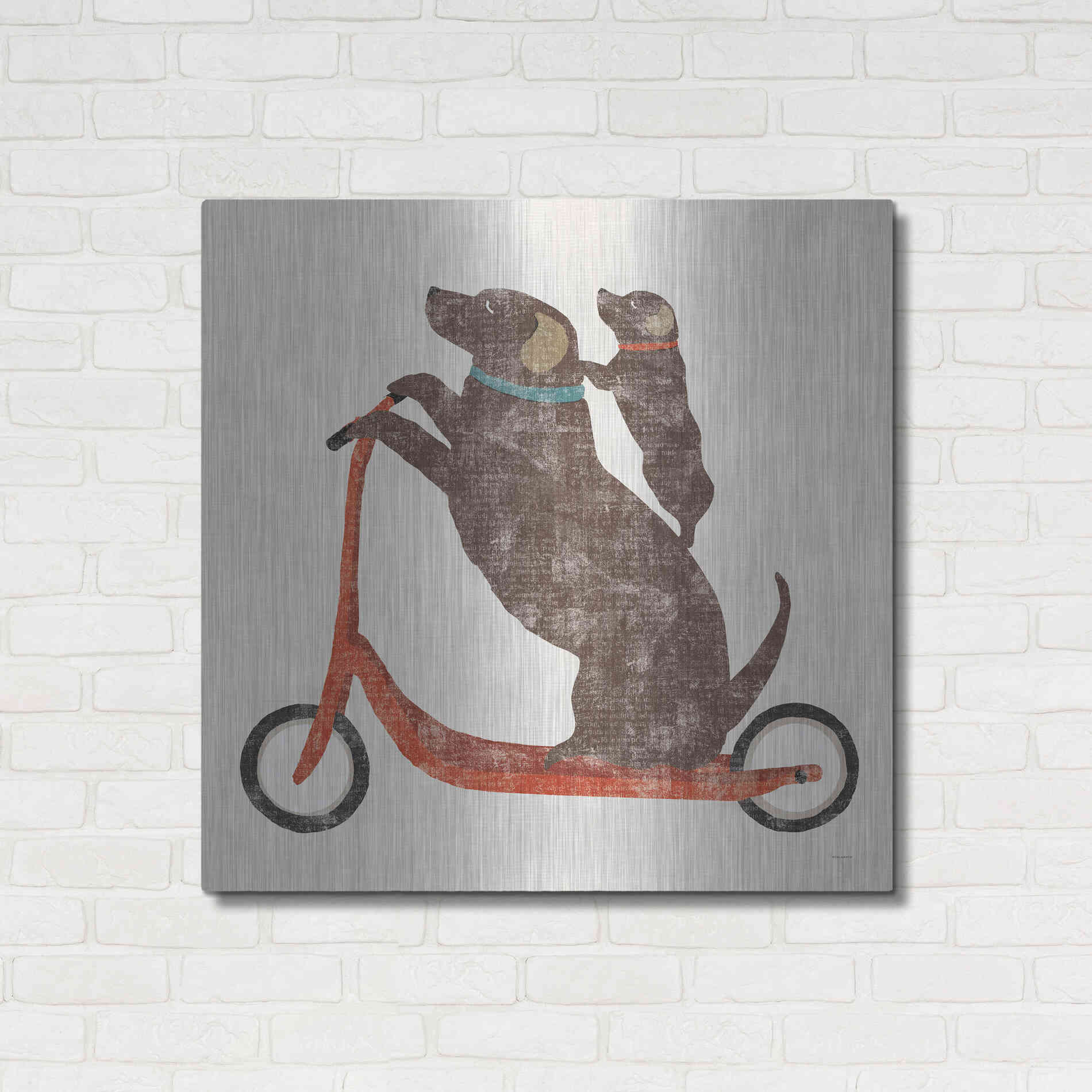 Luxe Metal Art 'Lab Scooter Ride' by Sue Schlabach, Metal Wall Art,36x36