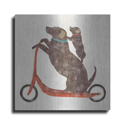Luxe Metal Art 'Lab Scooter Ride' by Sue Schlabach, Metal Wall Art