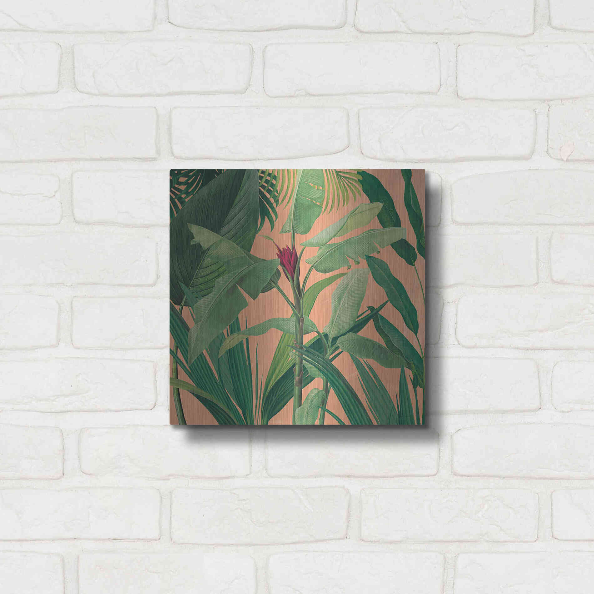 Luxe Metal Art 'Dramatic Tropical I Boho' by Sue Schlabach, Metal Wall Art,12x12