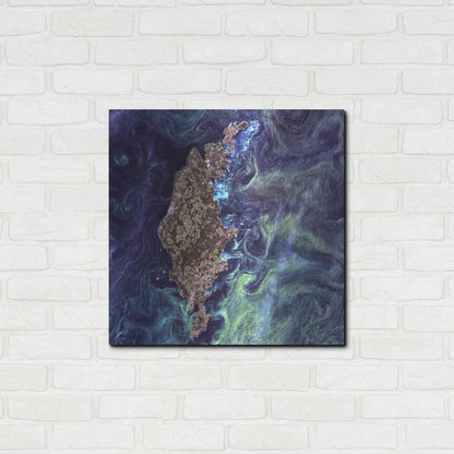 Luxe Metal Art 'Earth As Art: Van Gogh From Space' Metal Wall Art,24x24