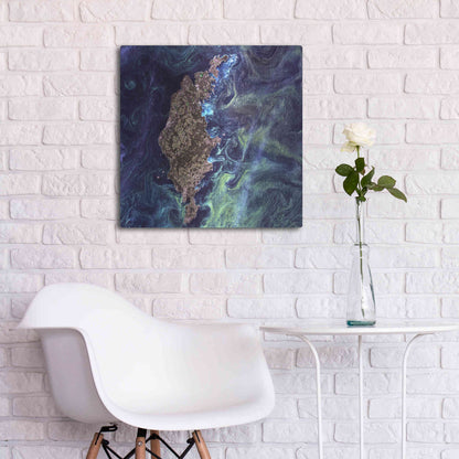 Luxe Metal Art 'Earth As Art: Van Gogh From Space' Metal Wall Art,24x24