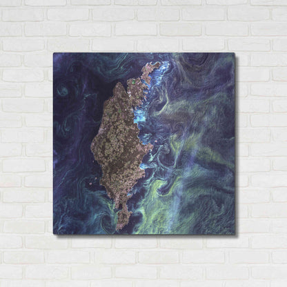 Luxe Metal Art 'Earth As Art: Van Gogh From Space' Metal Wall Art,36x36