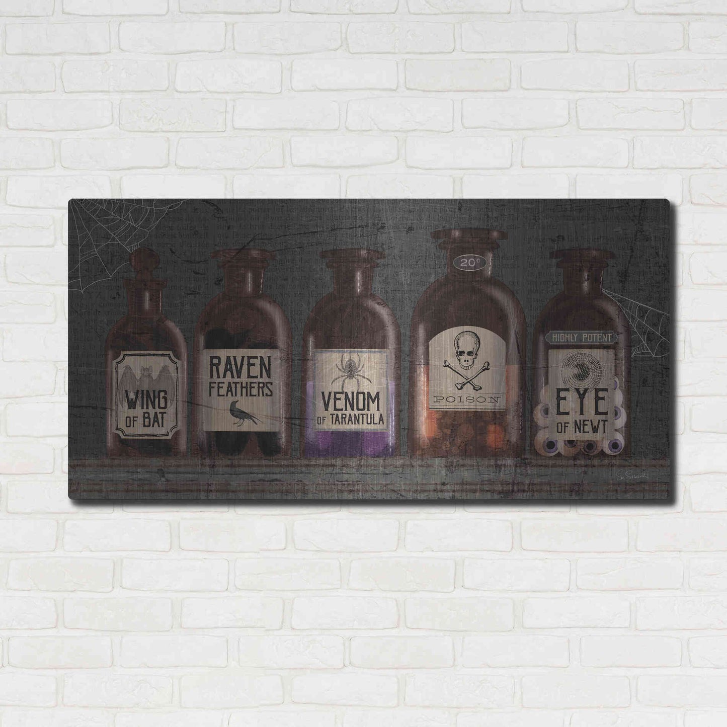 Luxe Metal Art 'Apothecary Noir VI' by Sue Schlabach, Metal Wall Art,48x24