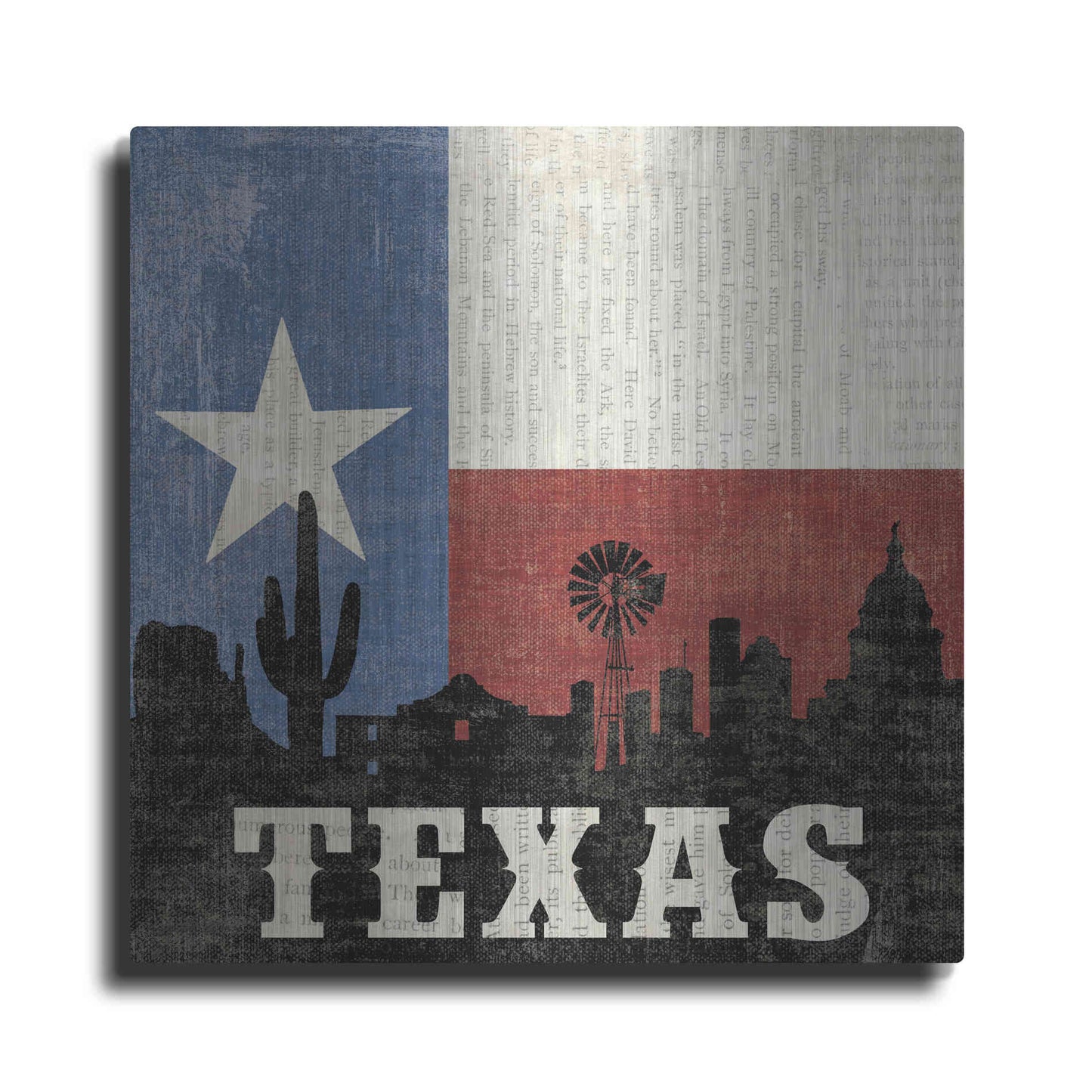 Luxe Metal Art 'Texas' by Moira Hershey, Metal Wall Art