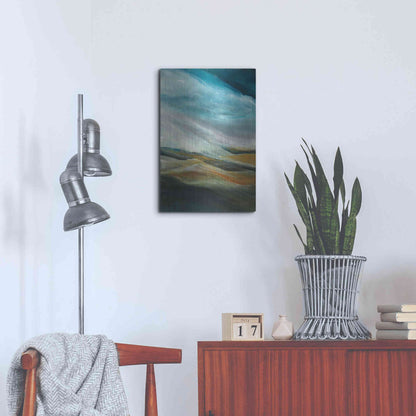Luxe Metal Art 'Sand Storm' by Jan Griggs, Metal Wall Art,16x24