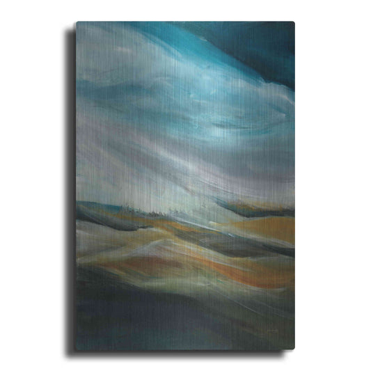 Luxe Metal Art 'Sand Storm' by Jan Griggs, Metal Wall Art