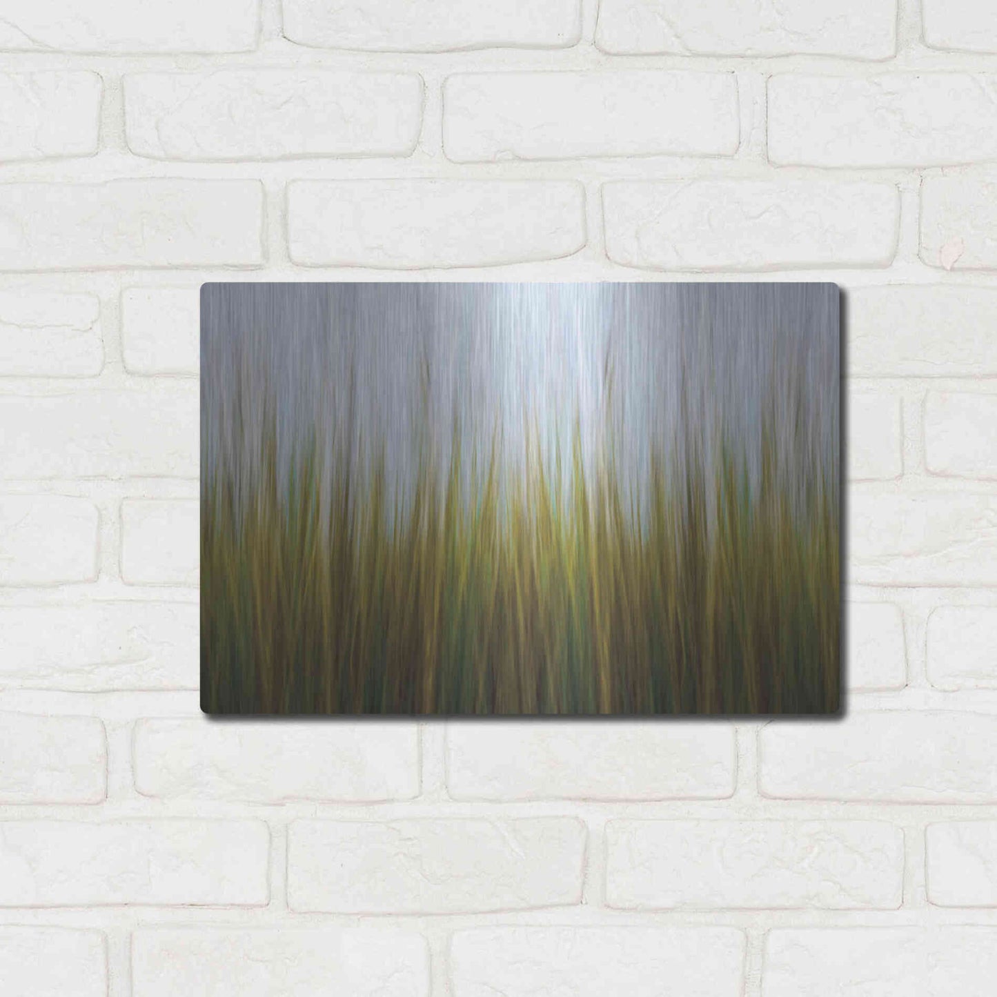 Luxe Metal Art 'Sea Grass Canvas' by Katherine Gendreau, Metal Wall Art,16x12