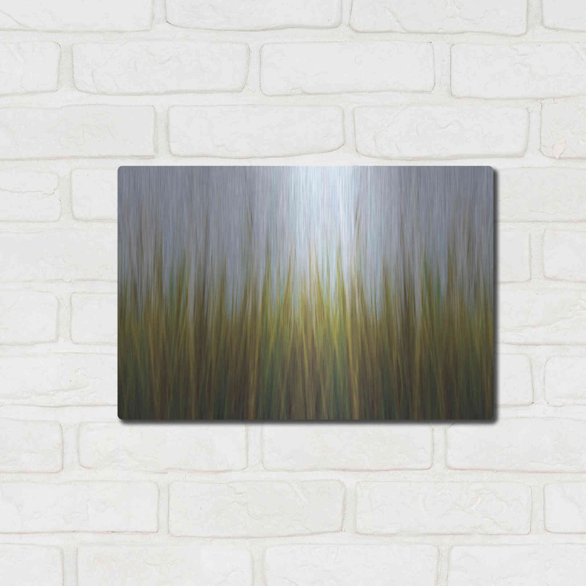 Luxe Metal Art 'Sea Grass Canvas' by Katherine Gendreau, Metal Wall Art,16x12