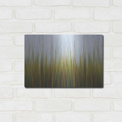 Luxe Metal Art 'Sea Grass Canvas' by Katherine Gendreau, Metal Wall Art,16x12