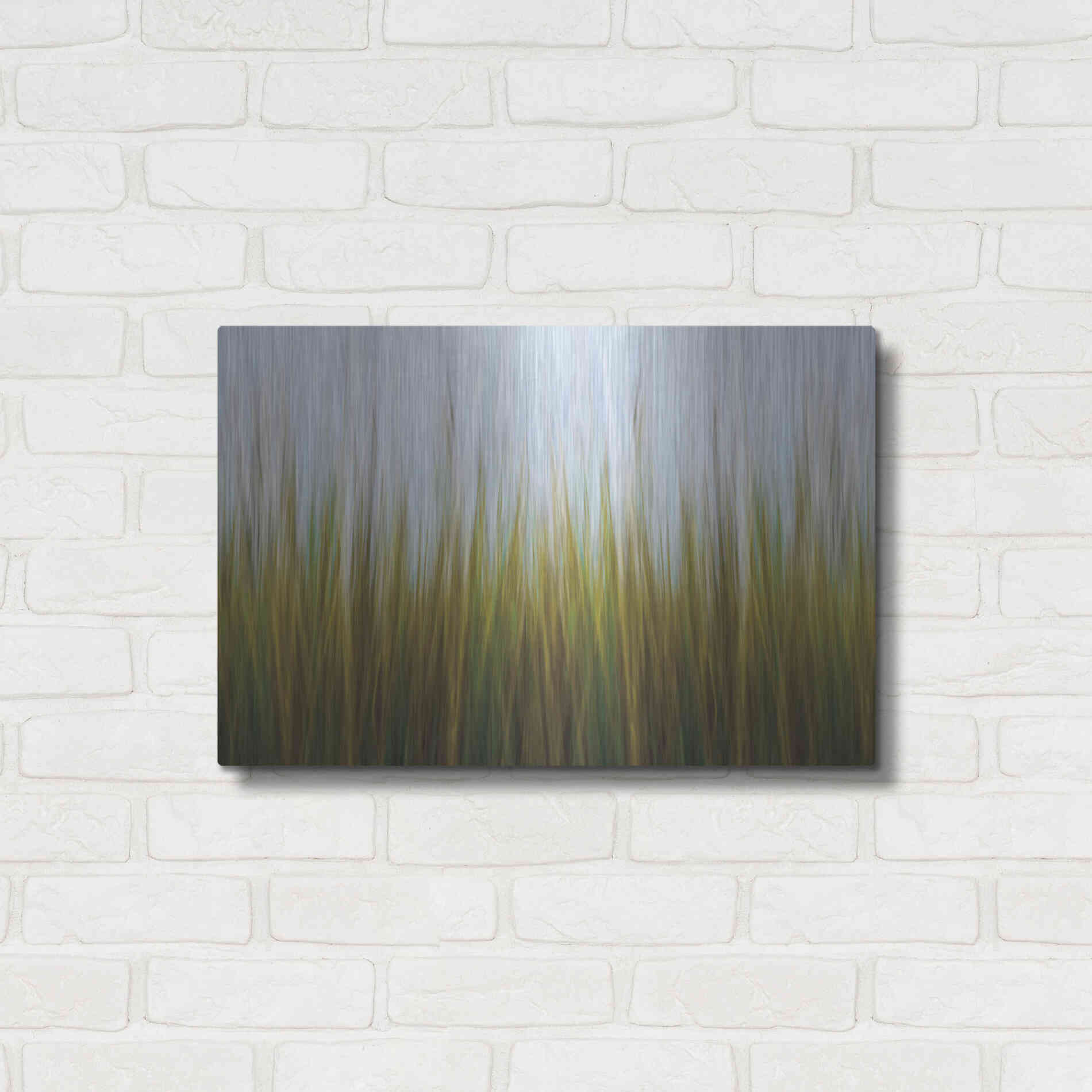 Luxe Metal Art 'Sea Grass Canvas' by Katherine Gendreau, Metal Wall Art,24x16