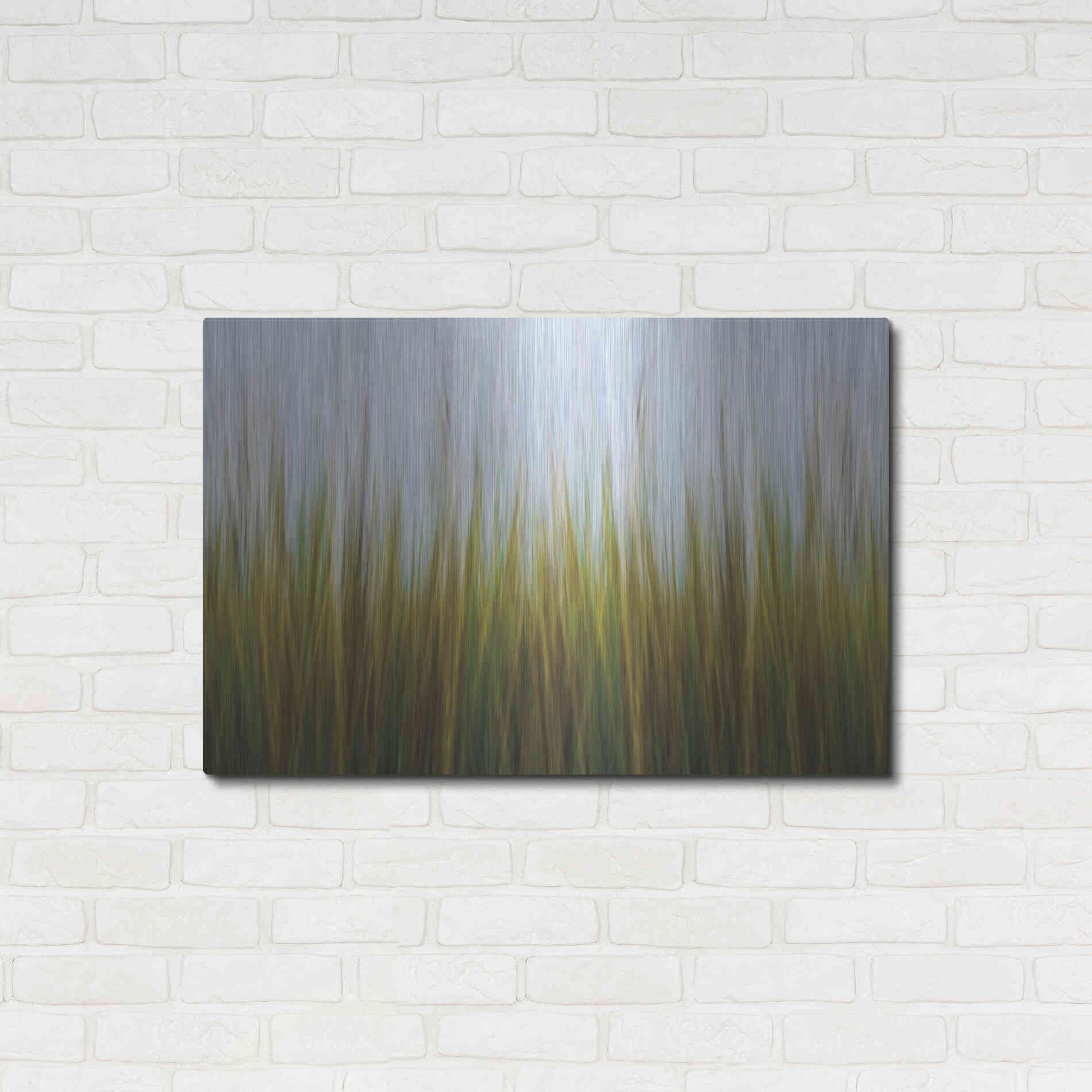 Luxe Metal Art 'Sea Grass Canvas' by Katherine Gendreau, Metal Wall Art,36x24
