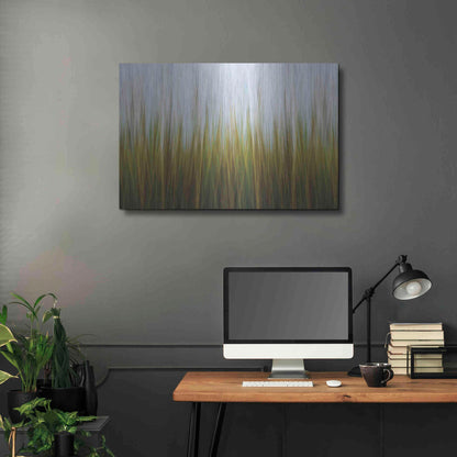 Luxe Metal Art 'Sea Grass Canvas' by Katherine Gendreau, Metal Wall Art,36x24