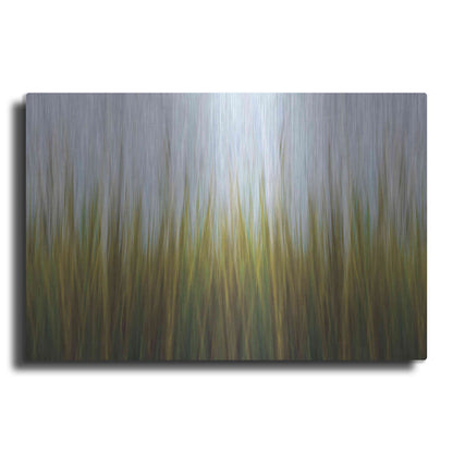 Luxe Metal Art 'Sea Grass Canvas' by Katherine Gendreau, Metal Wall Art