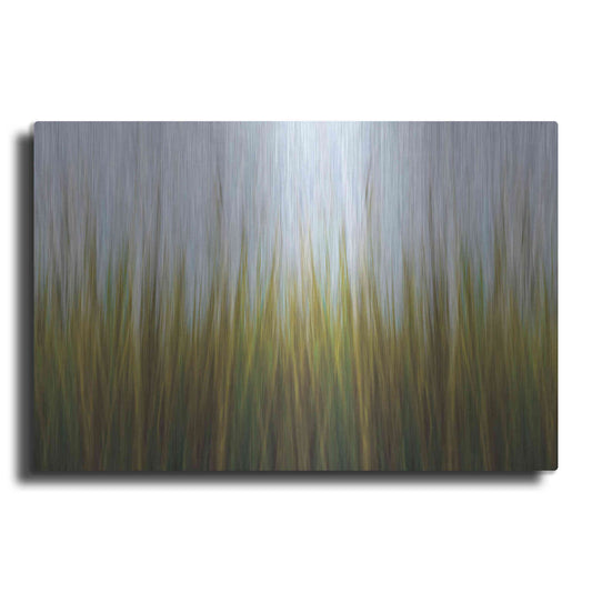 Luxe Metal Art 'Sea Grass Canvas' by Katherine Gendreau, Metal Wall Art