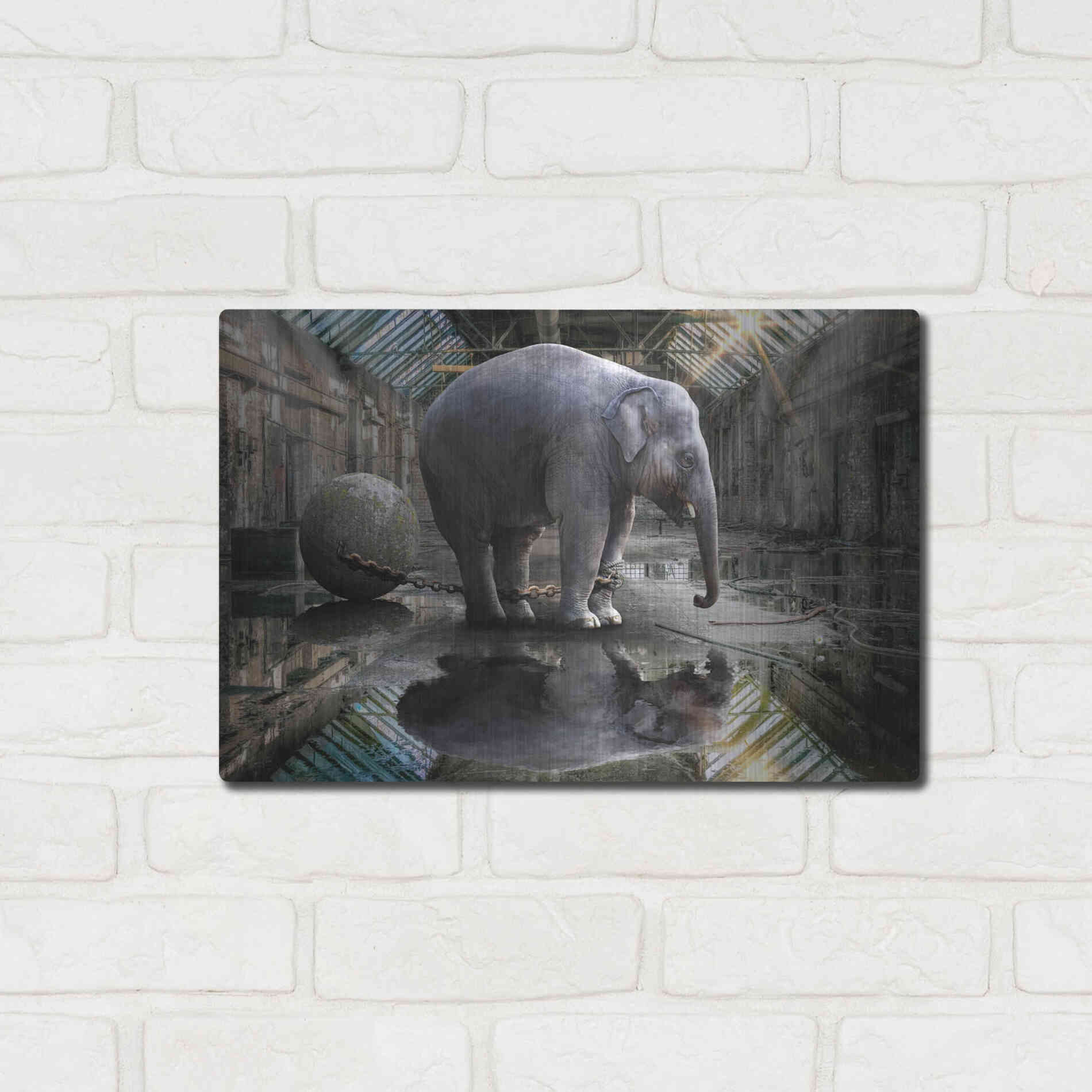 Luxe Metal Art 'The Big Grey' by Alan, Metal Wall Art,16x12