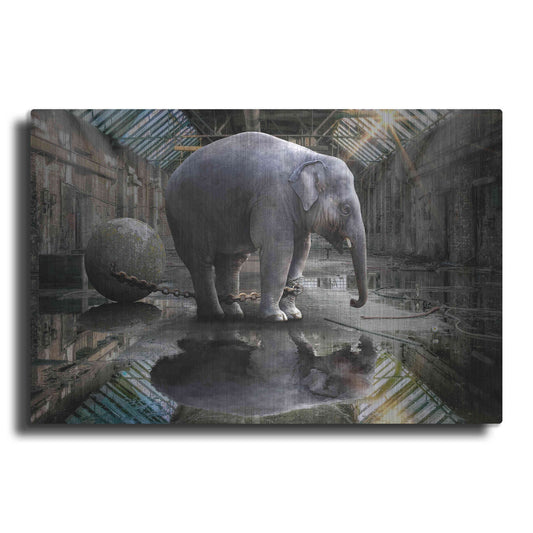 Luxe Metal Art 'The Big Grey' by Alan, Metal Wall Art