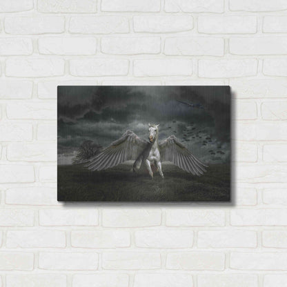 Luxe Metal Art 'Pegasus Rising' by Alan, Metal Wall Art,24x16