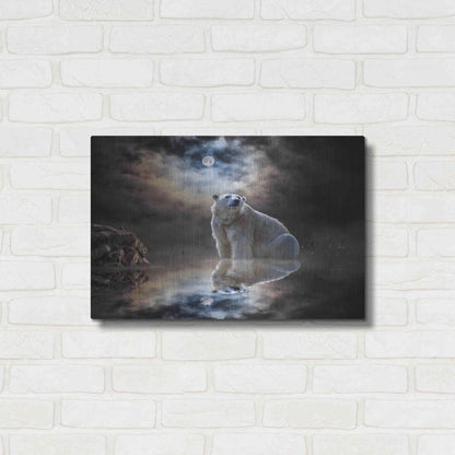 Luxe Metal Art 'Polar Bear Reflections' by Alan, Metal Wall Art,24x16