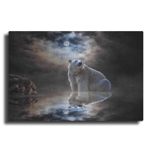 Luxe Metal Art 'Polar Bear Reflections' by Alan, Metal Wall Art