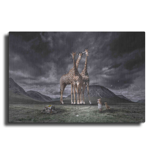 Luxe Metal Art 'Long Neck Scotland' by Alan, Metal Wall Art