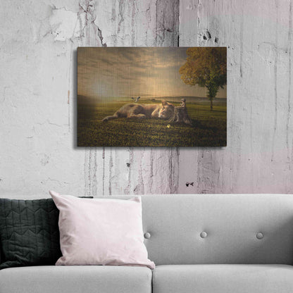 Luxe Metal Art 'Sunset Sleeping' by Alan, Metal Wall Art,36x24