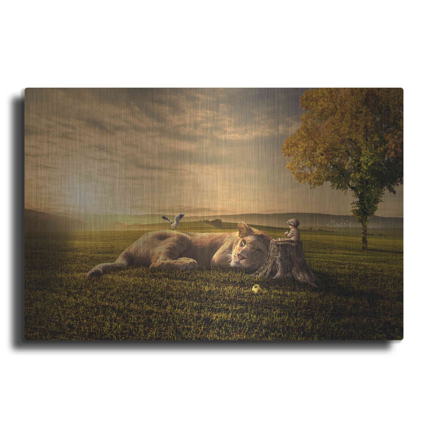 Luxe Metal Art 'Sunset Sleeping' by Alan, Metal Wall Art