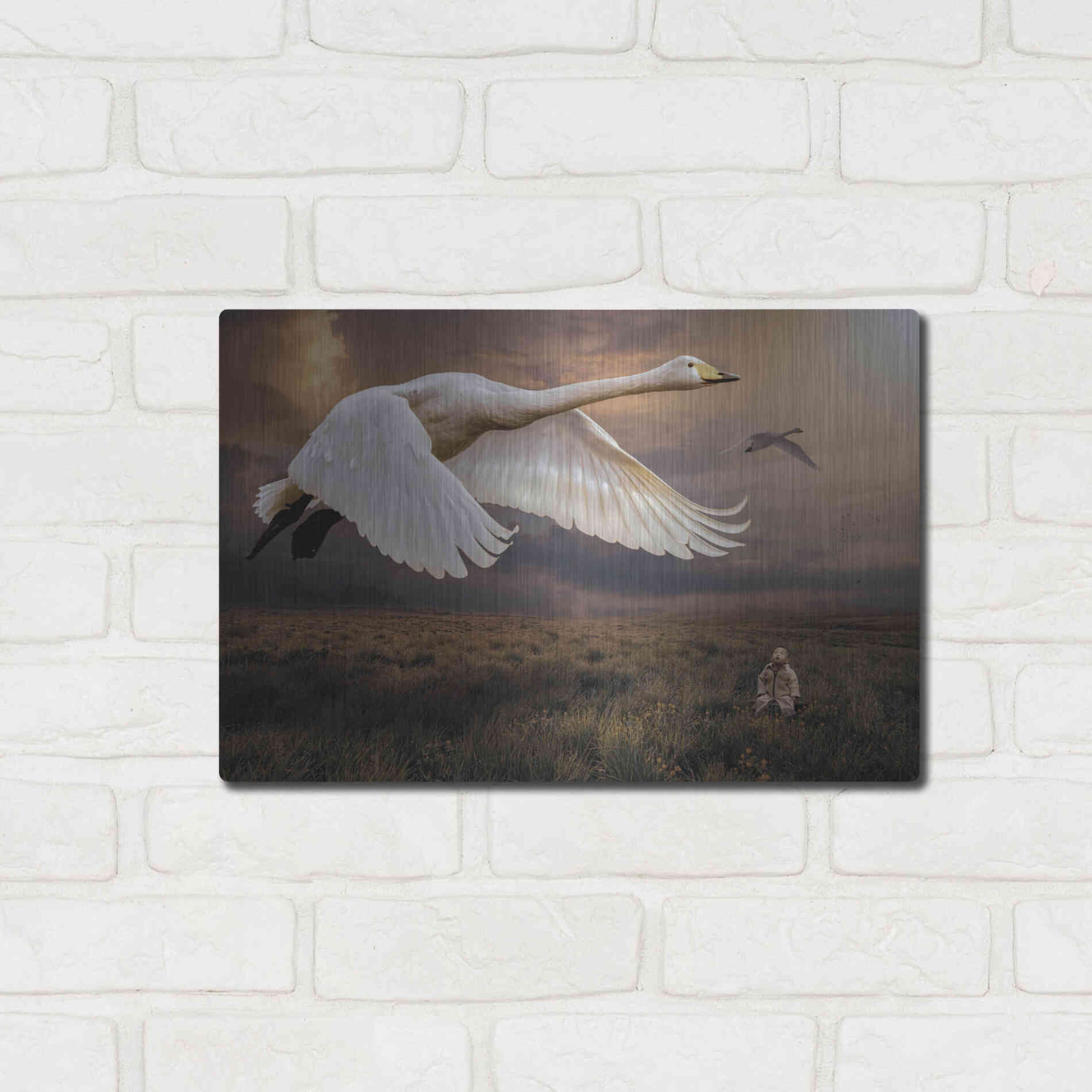 Luxe Metal Art 'Take Flight' by Alan, Metal Wall Art,16x12