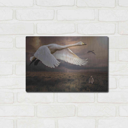 Luxe Metal Art 'Take Flight' by Alan, Metal Wall Art,16x12