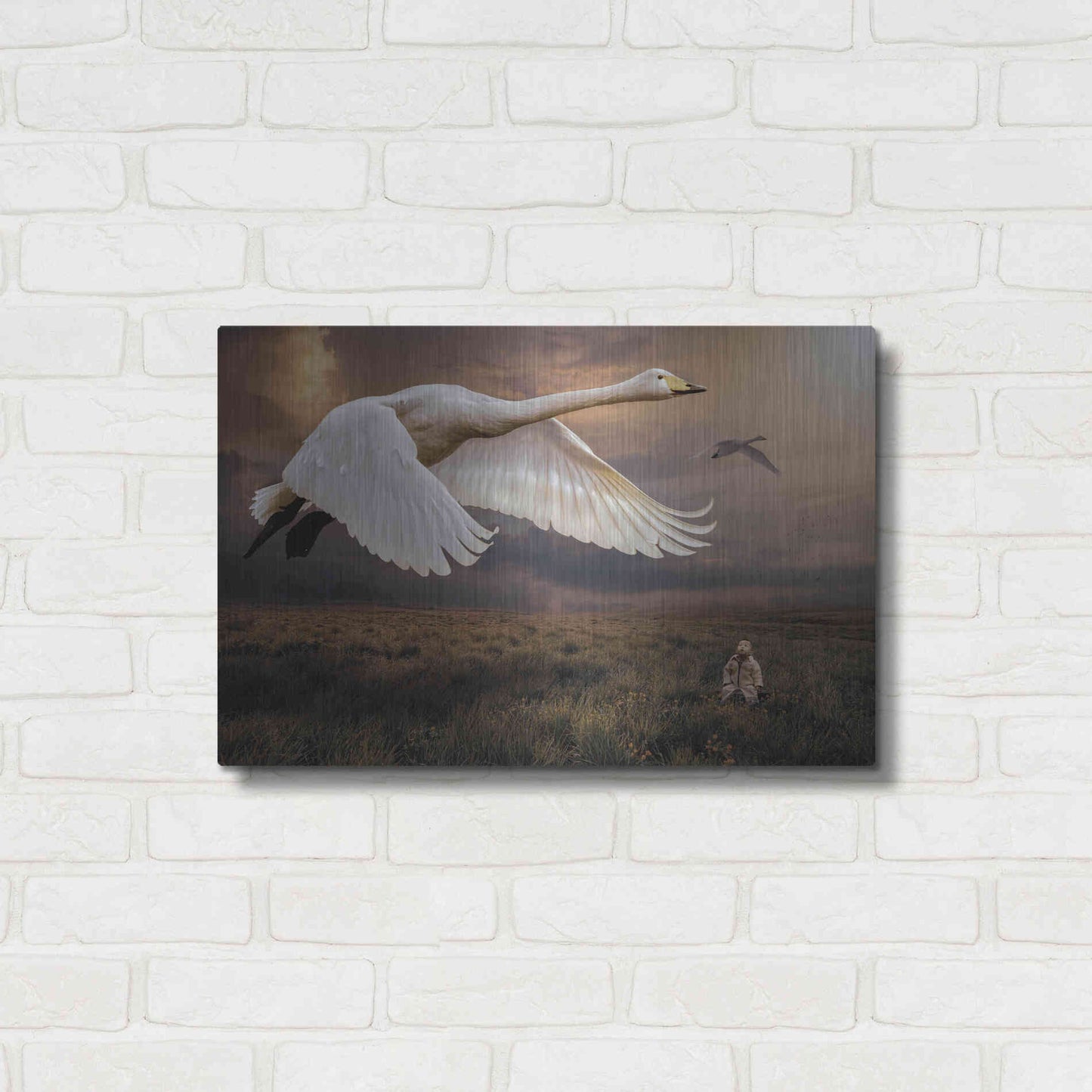 Luxe Metal Art 'Take Flight' by Alan, Metal Wall Art,24x16