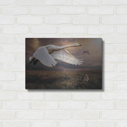 Luxe Metal Art 'Take Flight' by Alan, Metal Wall Art,24x16