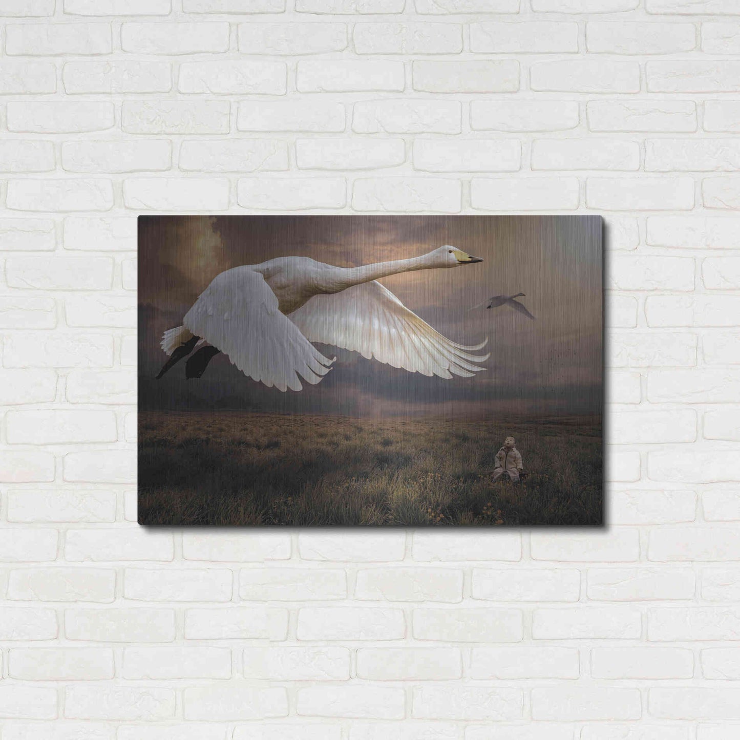 Luxe Metal Art 'Take Flight' by Alan, Metal Wall Art,36x24