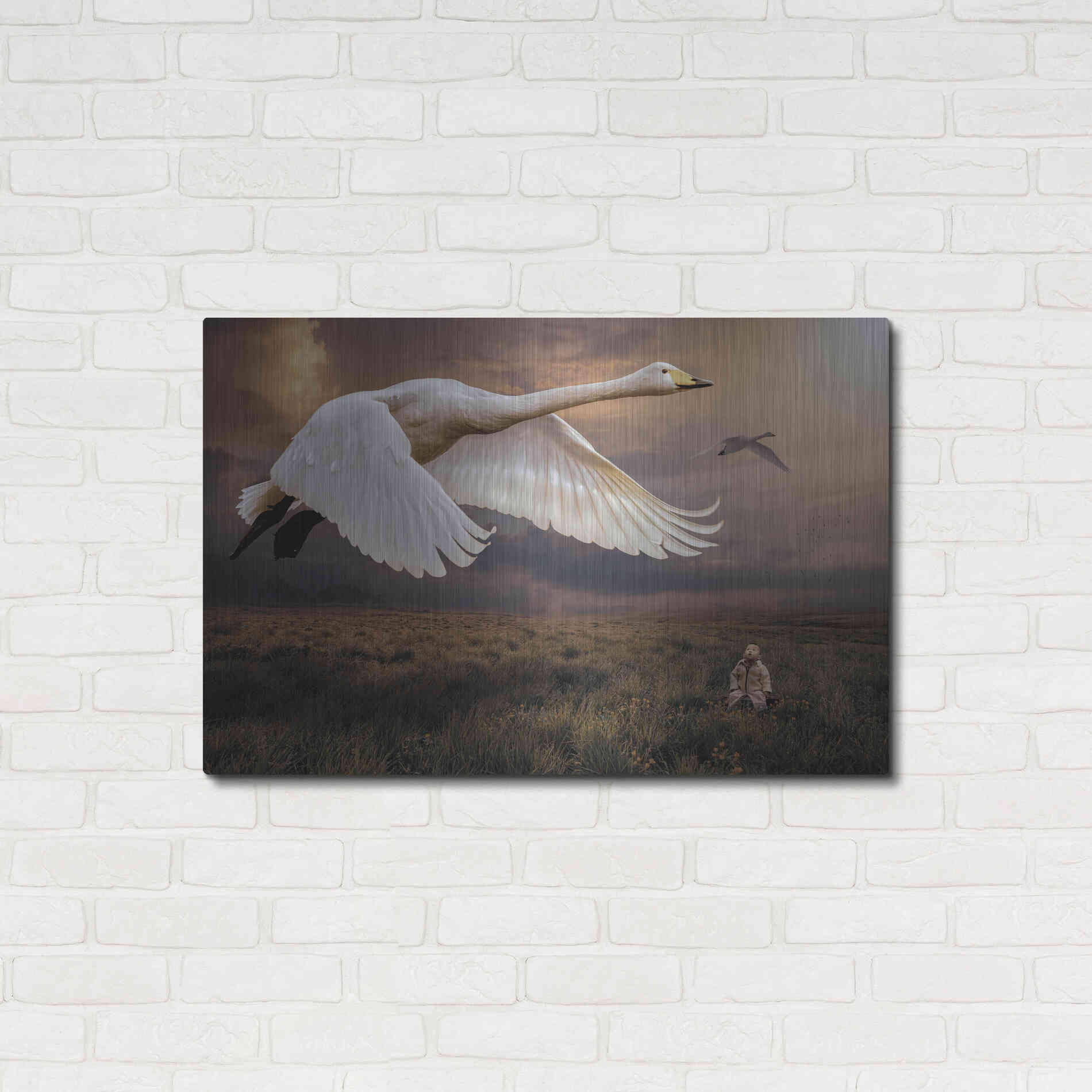 Luxe Metal Art 'Take Flight' by Alan, Metal Wall Art,36x24