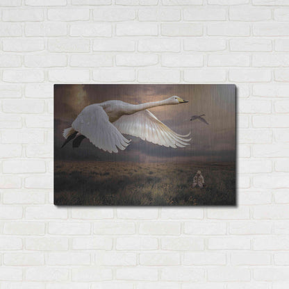 Luxe Metal Art 'Take Flight' by Alan, Metal Wall Art,36x24