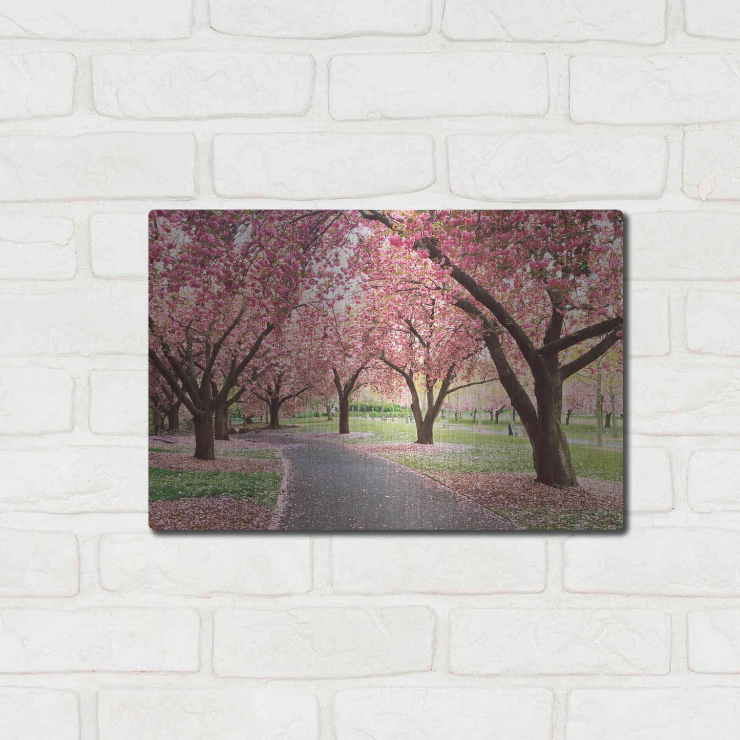 Luxe Metal Art 'Cherry Parade' by Katherine Gendreau, Metal Wall Art,16x12