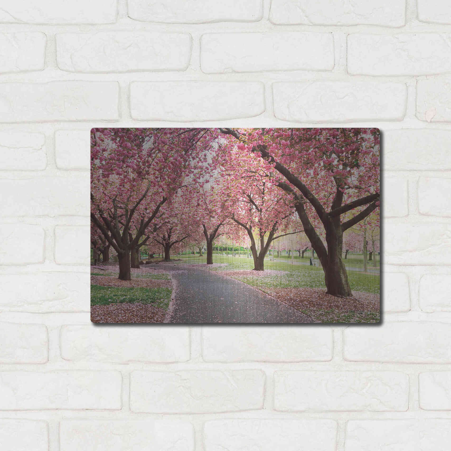 Luxe Metal Art 'Cherry Parade' by Katherine Gendreau, Metal Wall Art,16x12